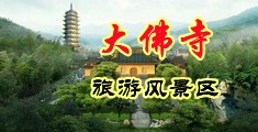 性插免费中国浙江-新昌大佛寺旅游风景区